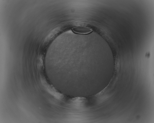 X0000111480128200907281212