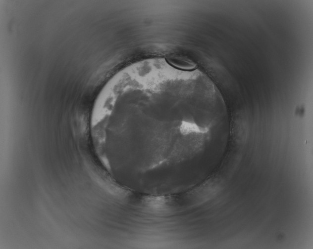 X0000111480131200907281212