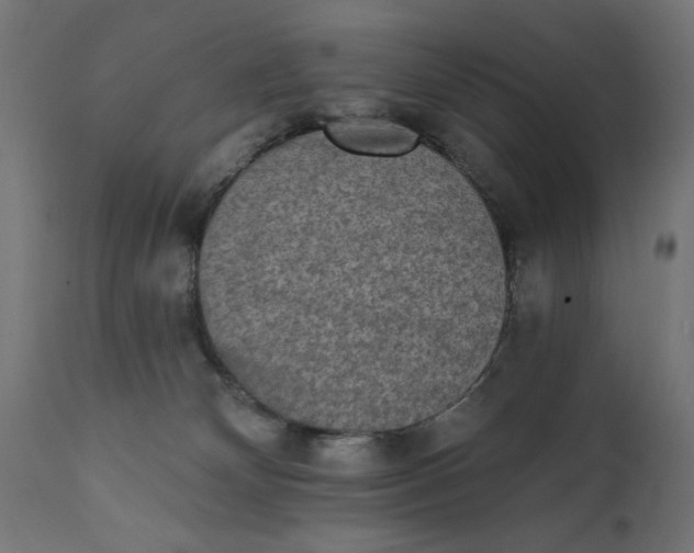X0000111480132200907281212