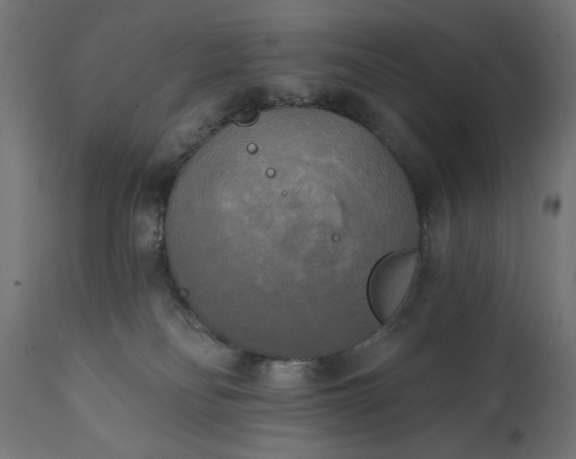 X0000111480134200907281212