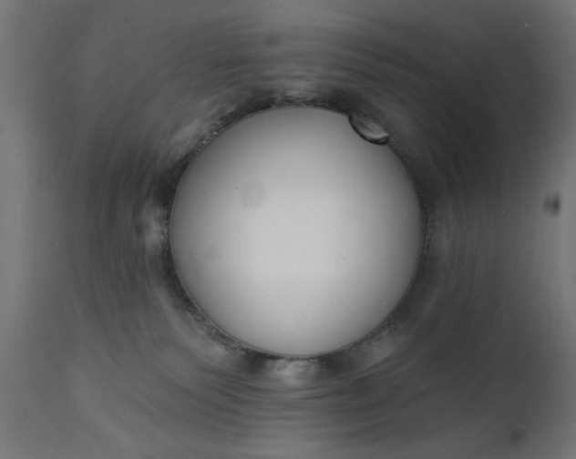 X0000111480135200907281212