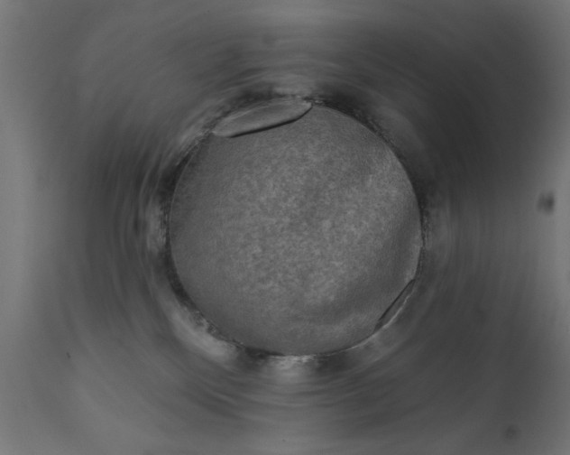 X0000111480136200907281212