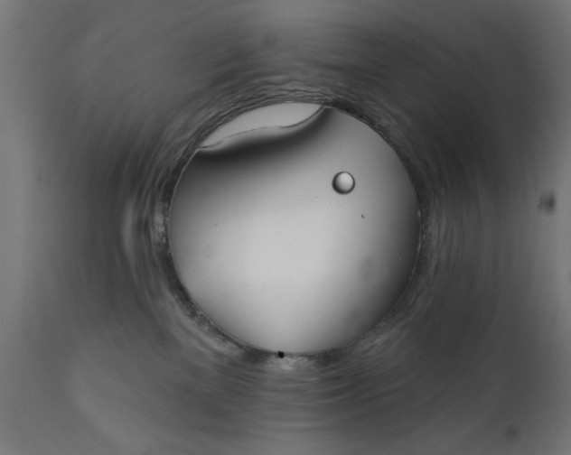 X0000111480137200907281212