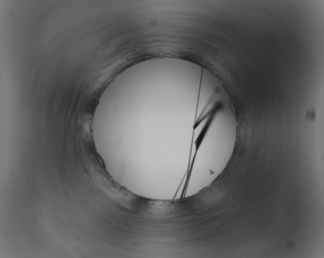 X0000111480141200907281212