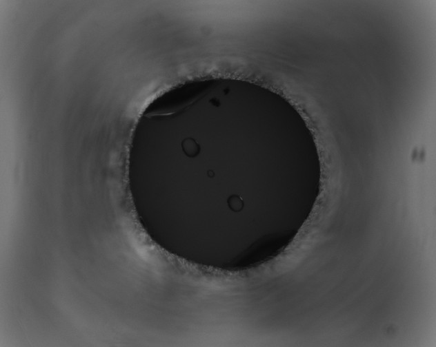 X0000111480144200907281212