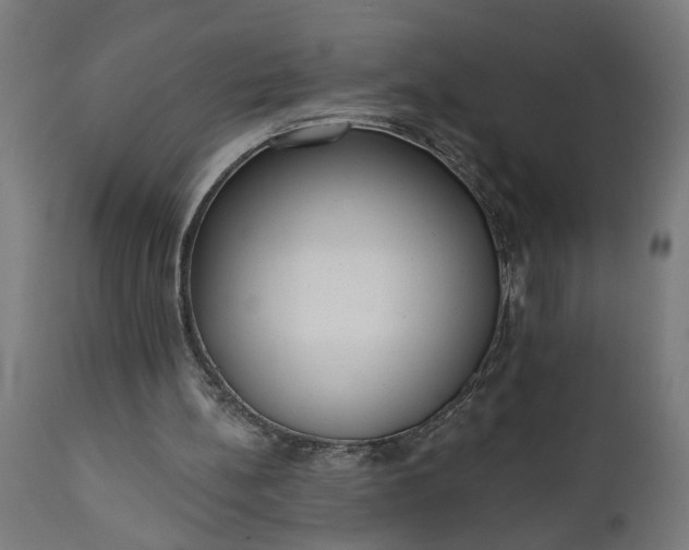 X0000111480148200907281211