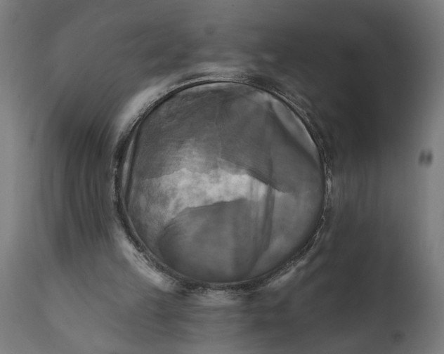 X0000111480149200907281211