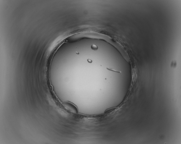 X0000111480150200907281211