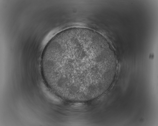 X0000111480151200907281211