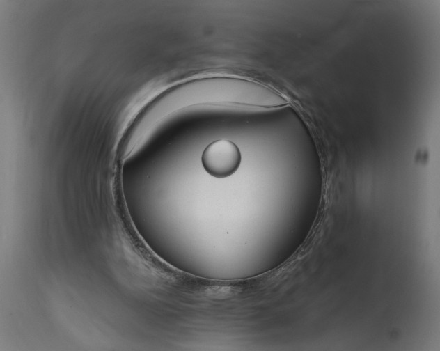 X0000111480152200907281211