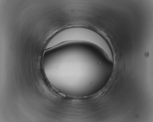X0000111480154200907281211