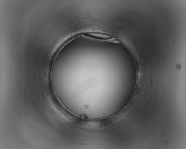 X0000111480156200907281211