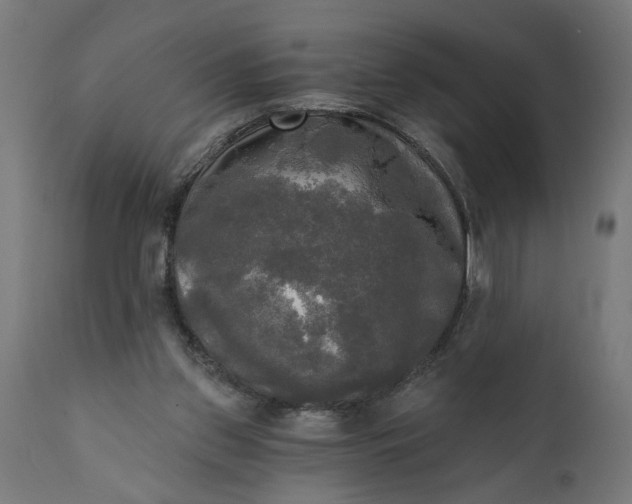 X0000111480157200907281211