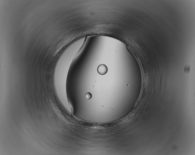 X0000111480158200907281211