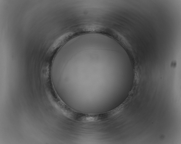 X0000111480163200907281211