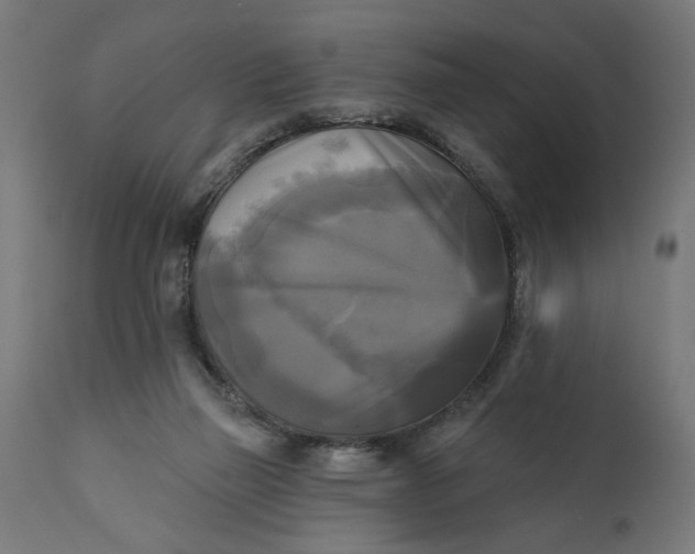 X0000111480165200907281211