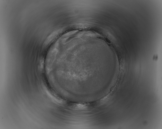 X0000111480166200907281211