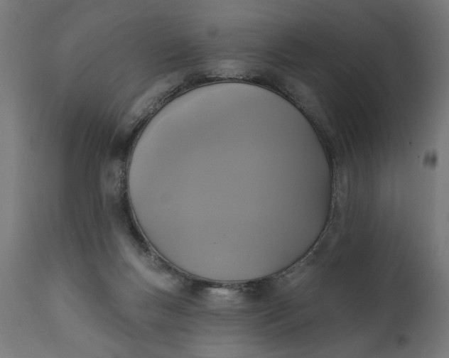 X0000111480167200907281211