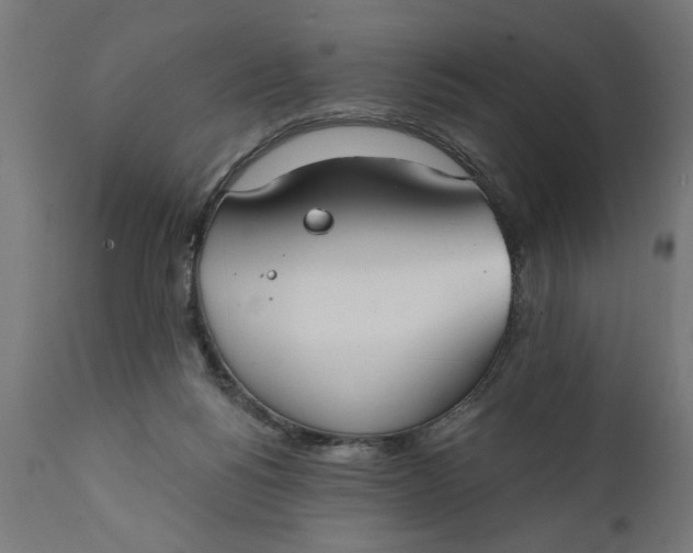 X0000111480168200907281211