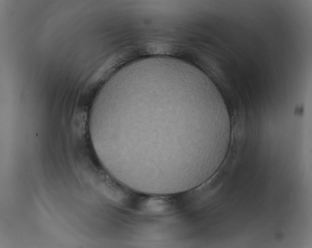 X0000111480171200907281211