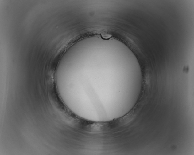 X0000111480172200907281211