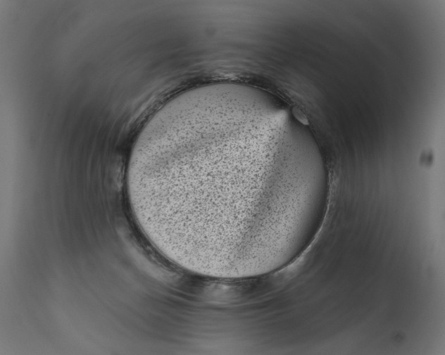 X0000111480174200907281211