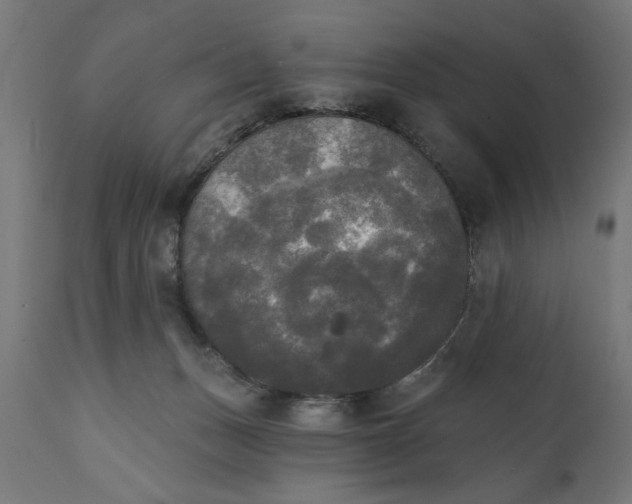 X0000111480175200907281211