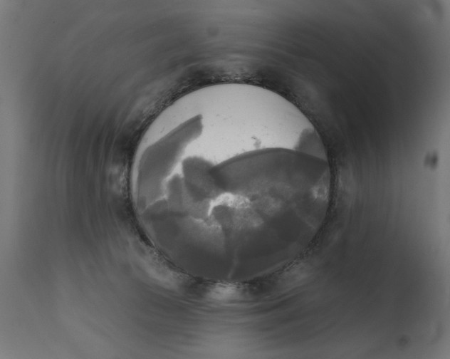 X0000111480177200907281211