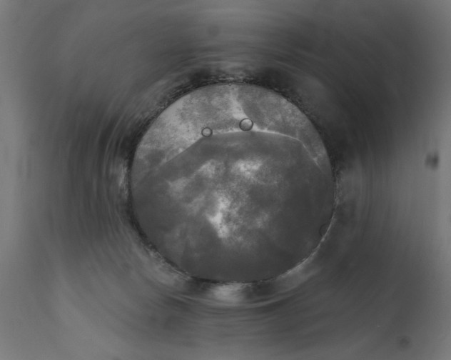 X0000111480178200907281211