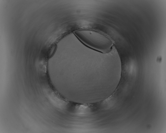 X0000111480180200907281211