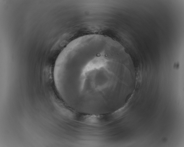 X0000111480182200907281211