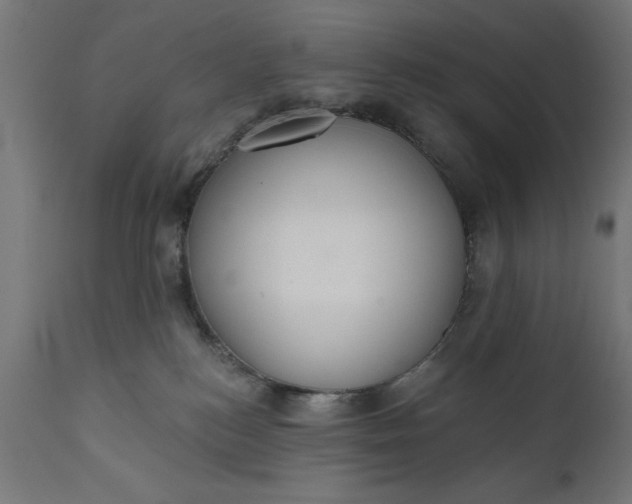 X0000111480184200907281211