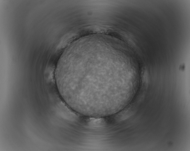 X0000111480185200907281211