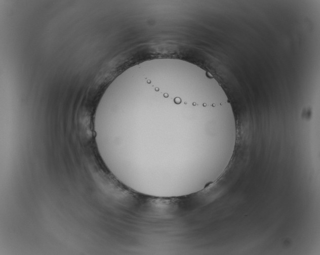 X0000111480187200907281211