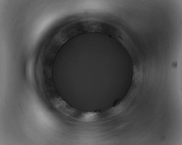 X0000111480189200907281212