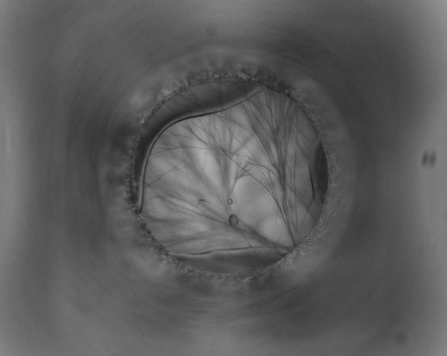 X0000111480192200907281212