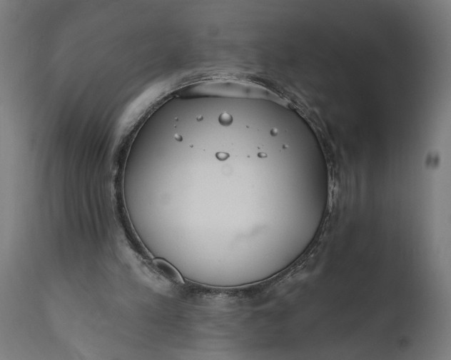 X0000111480197200907281211