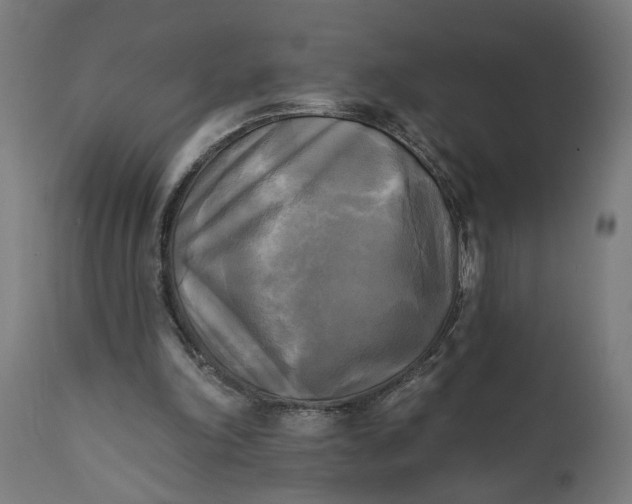 X0000111480198200907281211
