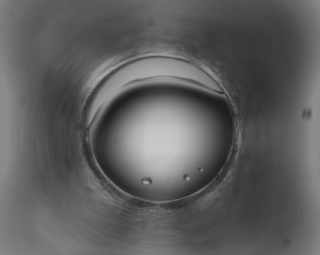 X0000111480199200907281211