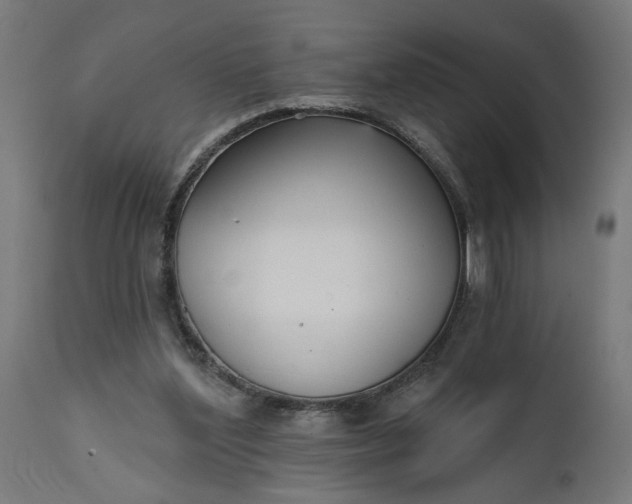 X0000111480204200907281211