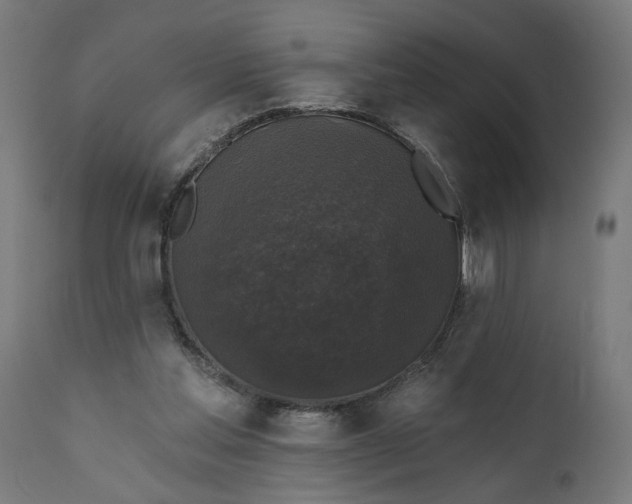 X0000111480205200907281211