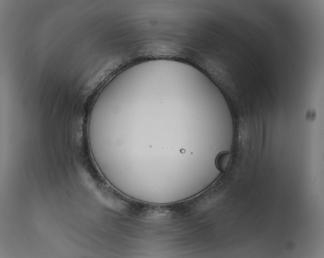X0000111480206200907281211