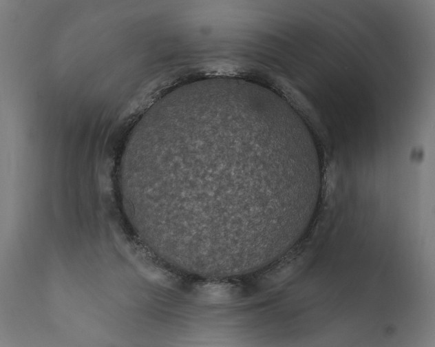 X0000111480209200907281211