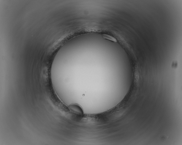 X0000111480211200907281211