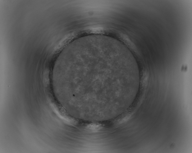 X0000111480213200907281211