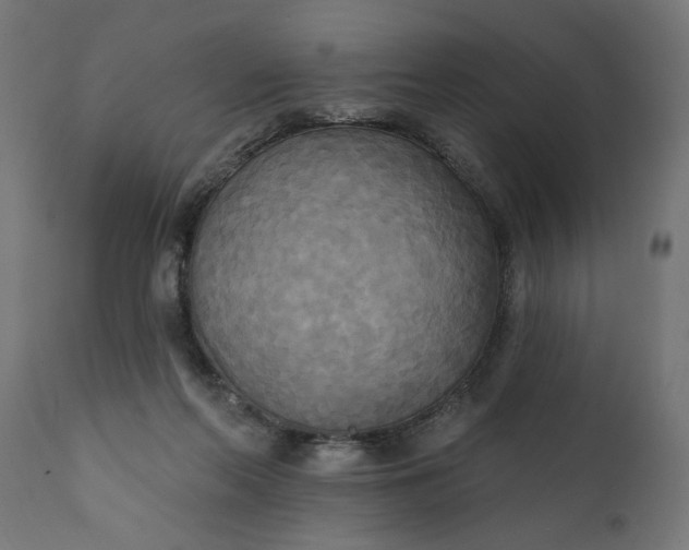 X0000111480214200907281211