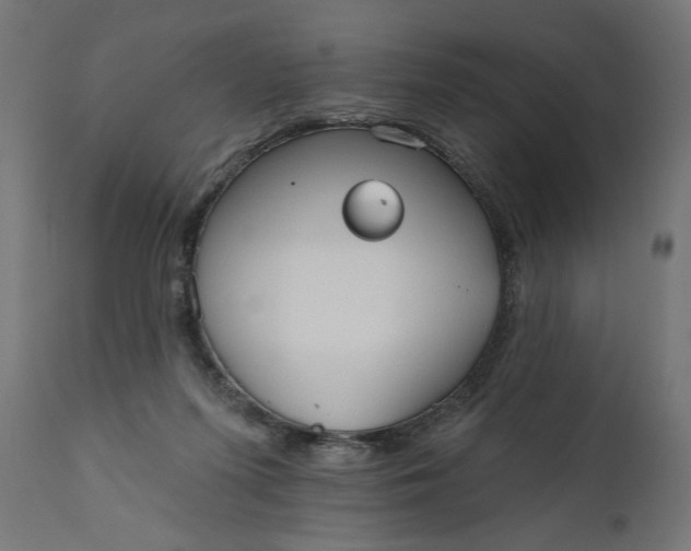X0000111480215200907281211