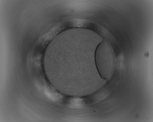 X0000111480217200907281211