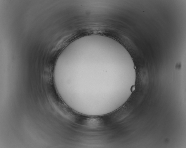 X0000111480218200907281211