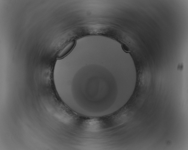 X0000111480219200907281211